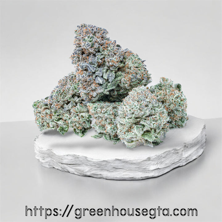 Dantes Inferno AA+ Indica Hybrid cannabis flower on white display base – premium weed bud for same-day delivery in Toronto