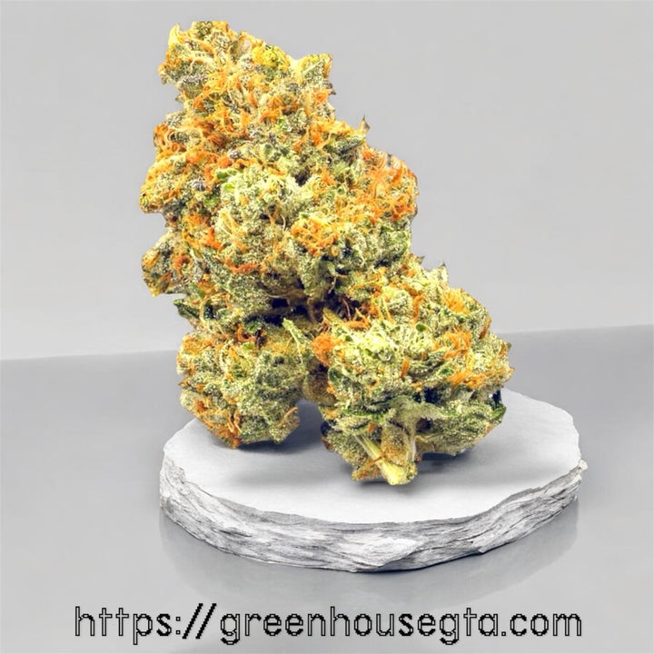Ghost Train Haze sativa weed strain – same-day weed delivery Scarborough – GreenHouseGTA