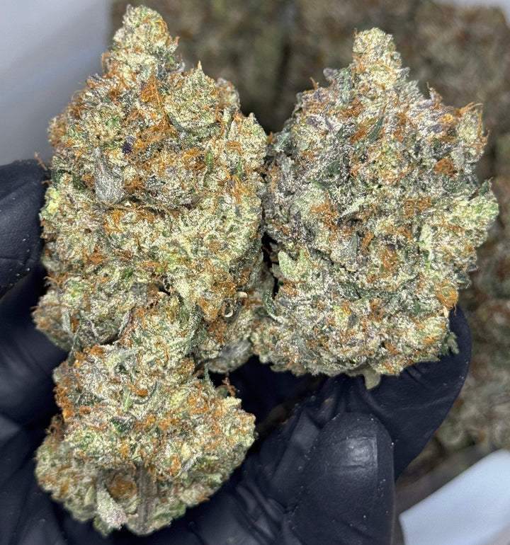 Pink Ghost AAAAA Indica – 37% THC citrus-gas buds with bright orange hairs and crystal frost – weed delivery Toronto GTA