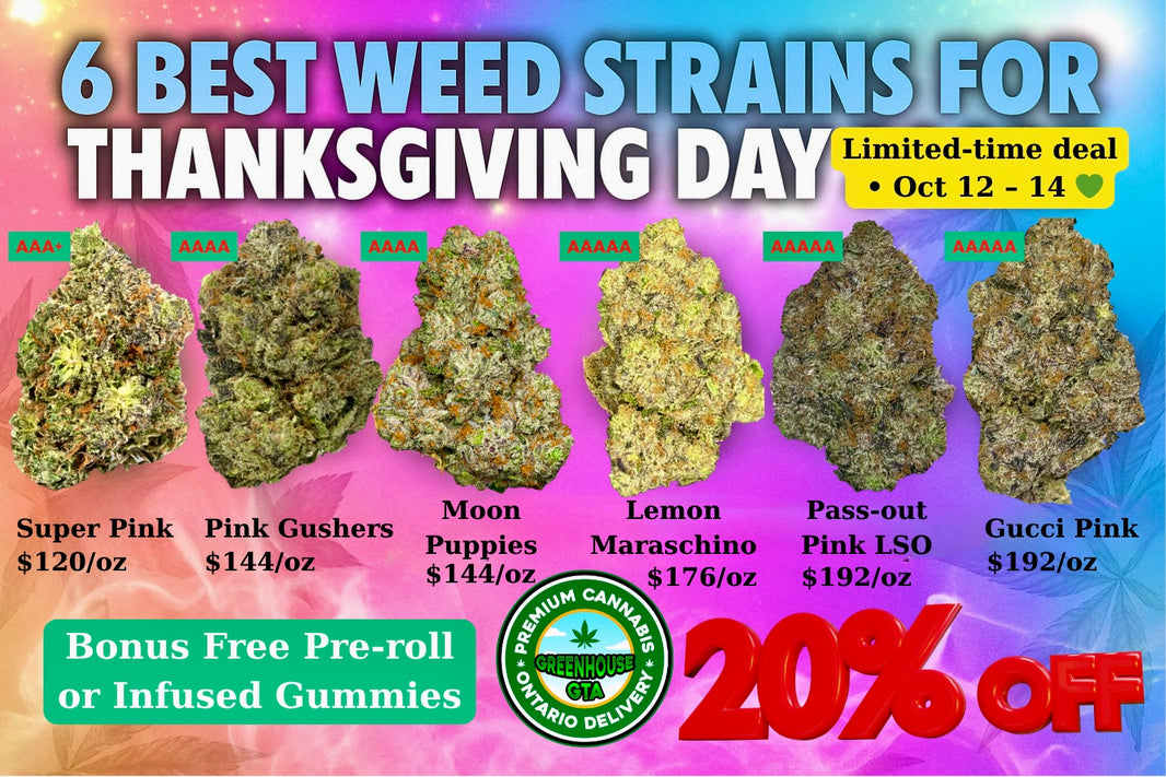 6 best weed strains for Thanksgiving 2025 – Danksgiving cannabis deal Toronto by GreenHouseGTA