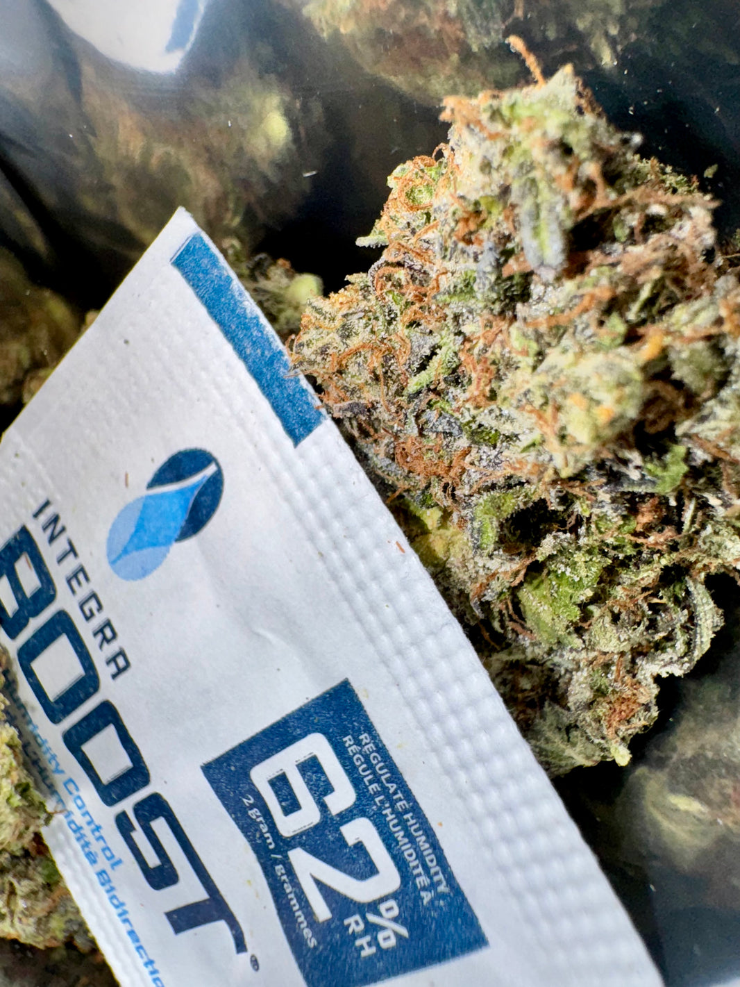 Best weed delivery same day toronto greenhousegta