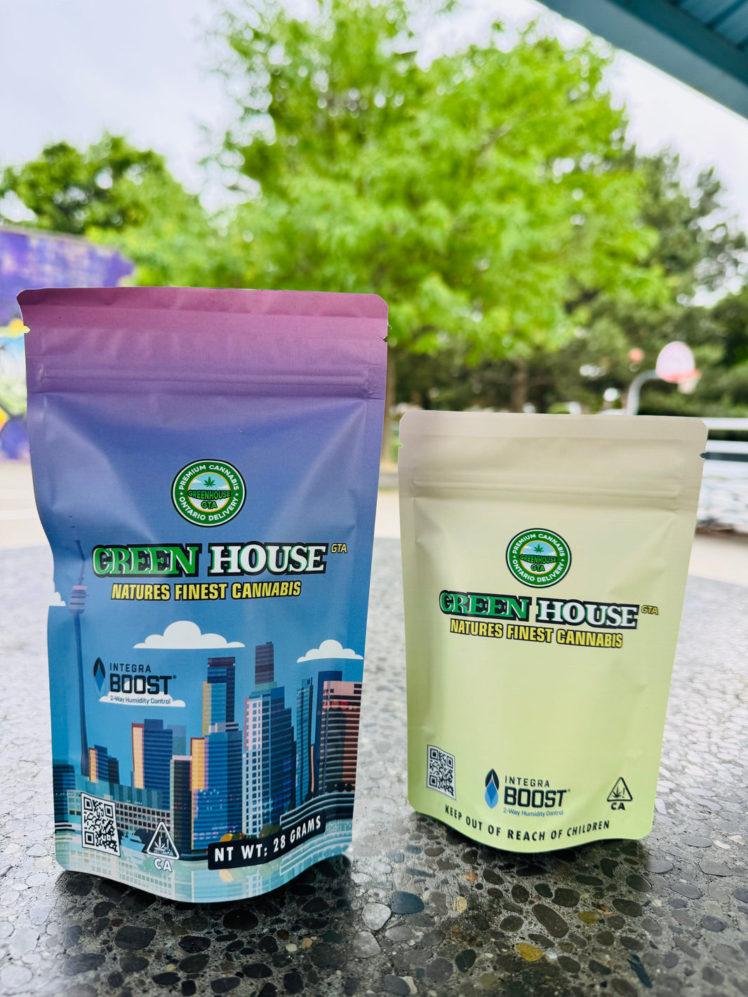 GreenHouseGTA weed delivery bags at park in Toronto – same-day cannabis service