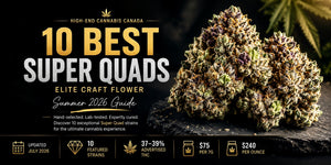 High-End Cannabis Canada: 10 Best Super Quad Strains (AAAAA) 2026