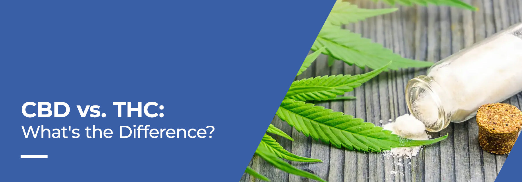 THC vs CBD — The Real Difference & How to Choose What Fits Your Vibe