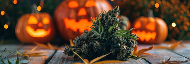 🎃 Halloween 2025 in Toronto & GTA 💨 Loud Gas, Scary Good Weed Deals