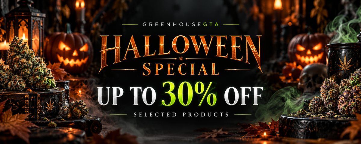 🎃 Halloween Special