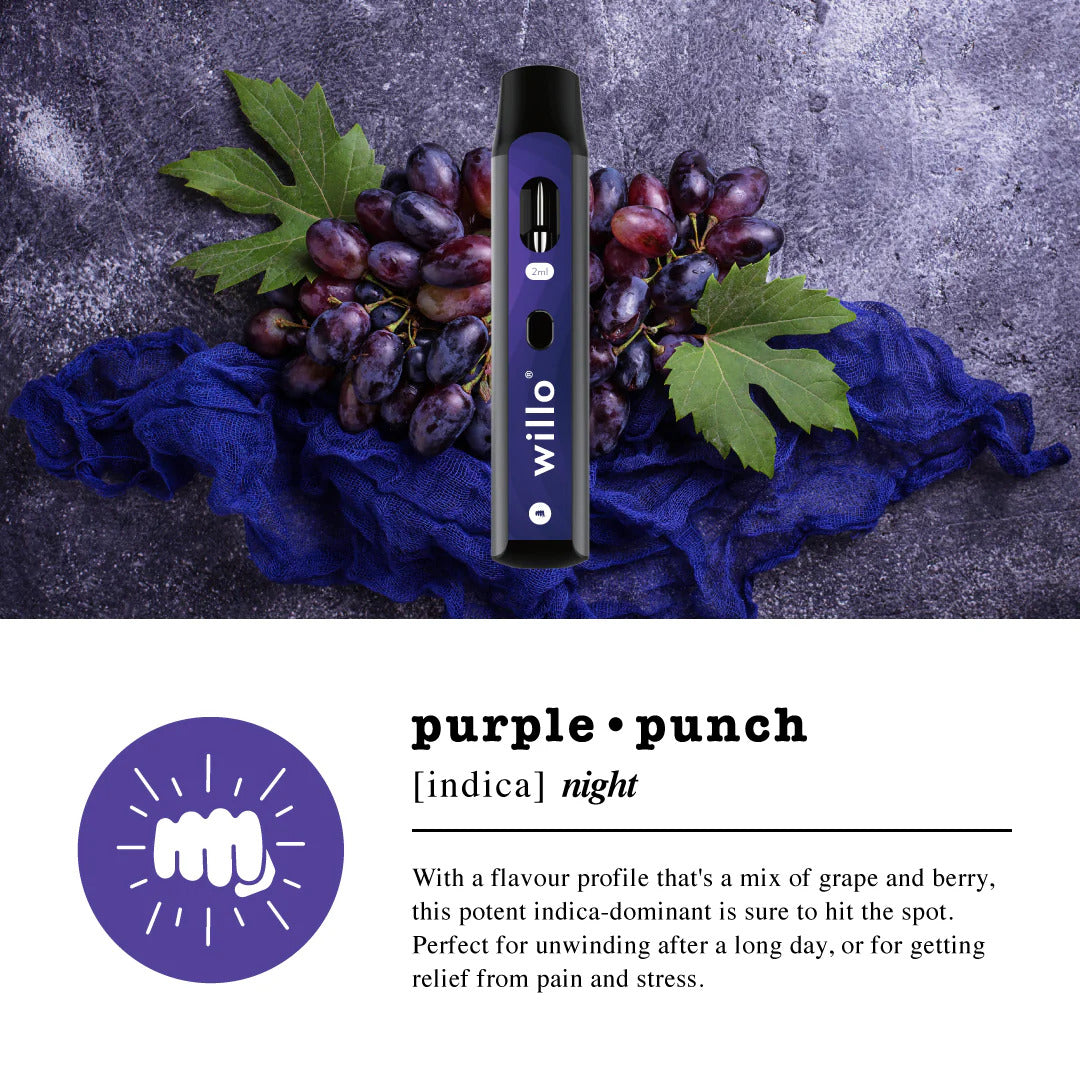 1000mg THC Purple Punch Disposable -2– premium vape delivery Scarborough – GreenHouseGTA