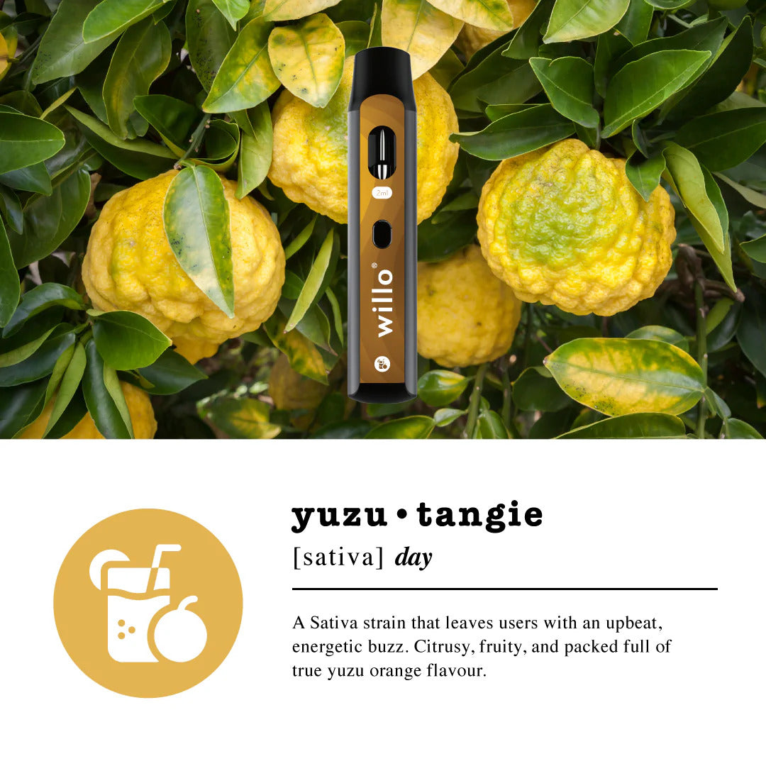 1000mg THC Yuzu Tangie Disposable – 2- Willo vape delivery Etobicoke – GreenHouseGTA
