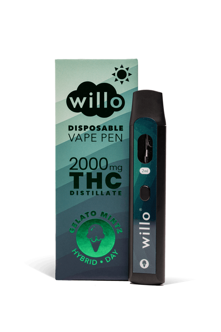 Gelato Mintz Disposable - Willo ALL PRODUCTS VAPES