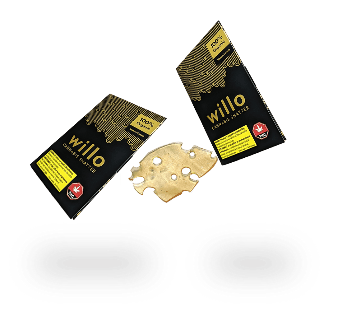 1G Greasy Runtz THC Shatter - Willo Extractions ALL PRODUCTS Concentrates