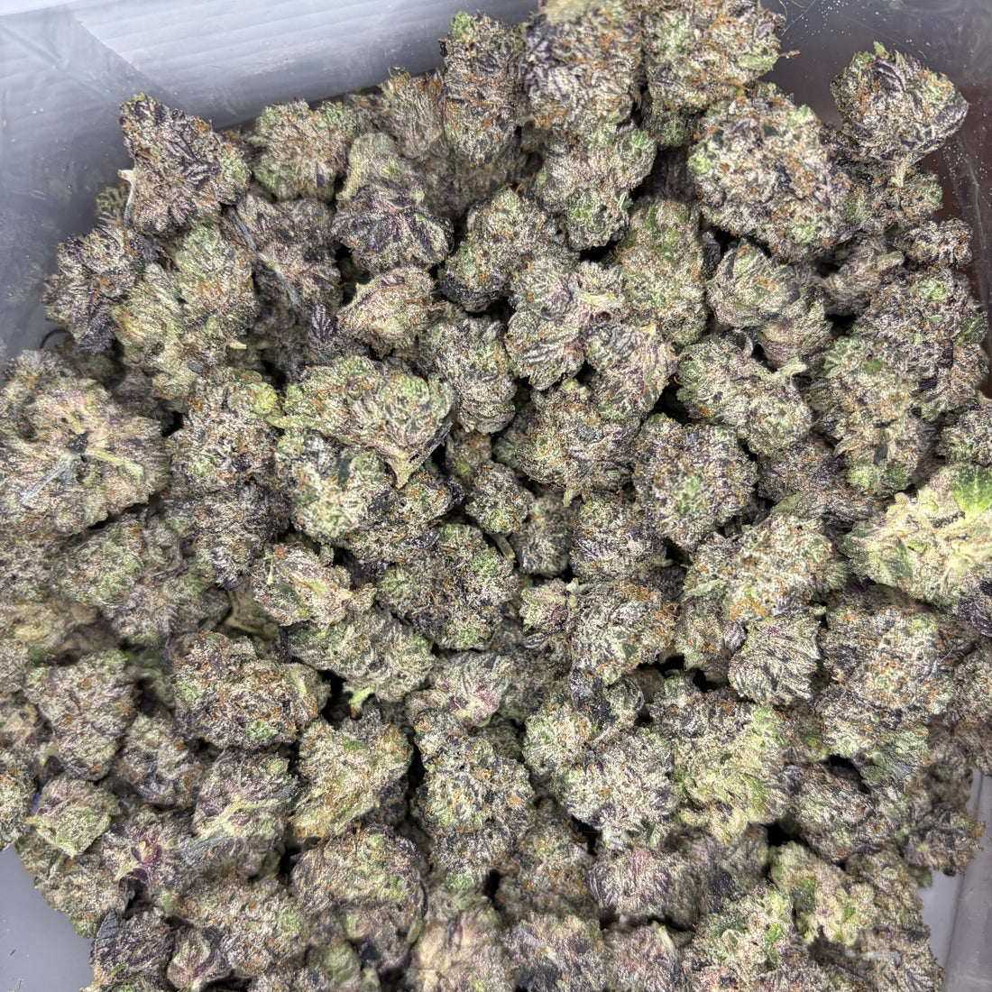 AAAAA Pink CEO Popcorn – luxury Indica flower with creamy fuel nose and heavy potency, Toronto same-day weed delivery