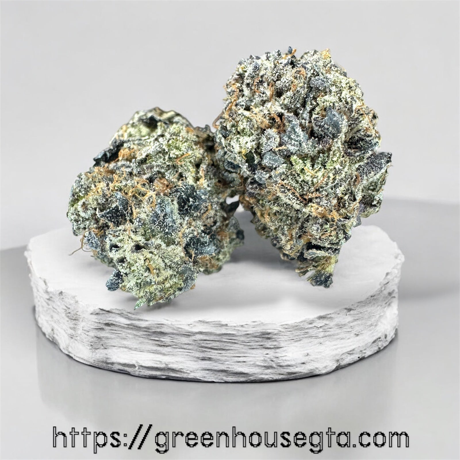 AAAA American Haze strain – citrus gas Sativa flower on white background – same-day weed delivery Toronto