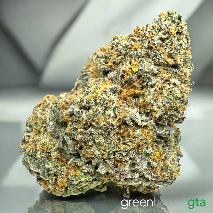 AAA sativa Tropical Lemonade strain – cannabis delivery Toronto GTA