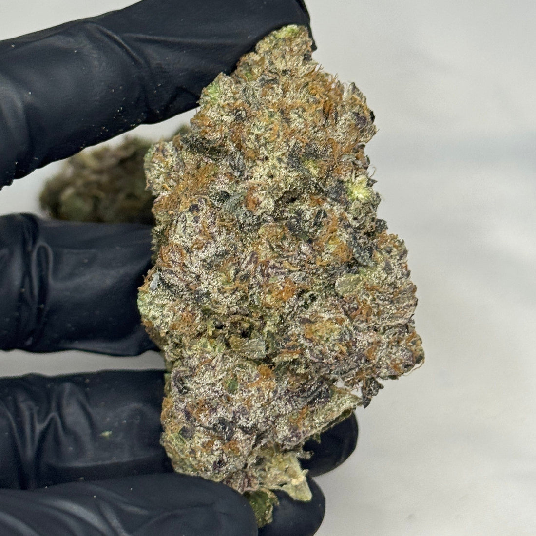 Amnesia Mac AAAAA Sativa-Dominant Hybrid – 38% THC purple frosty bud with sweet gas aroma – weed delivery Toronto GTA