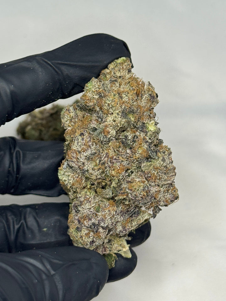 Amnesia Mac AAAAA Sativa-Dominant Hybrid – 38% THC purple frosty bud with sweet gas aroma – weed delivery Toronto GTA