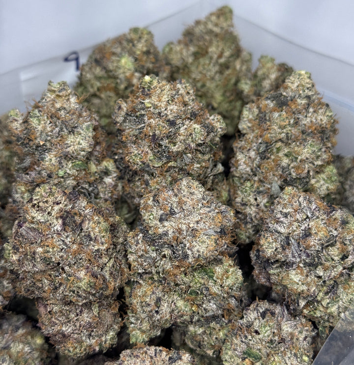 Amnesia Mac AAAAA Sativa-Dominant Hybrid – full batch of purple frosty buds with sweet gas aroma – weed delivery Toronto GTA