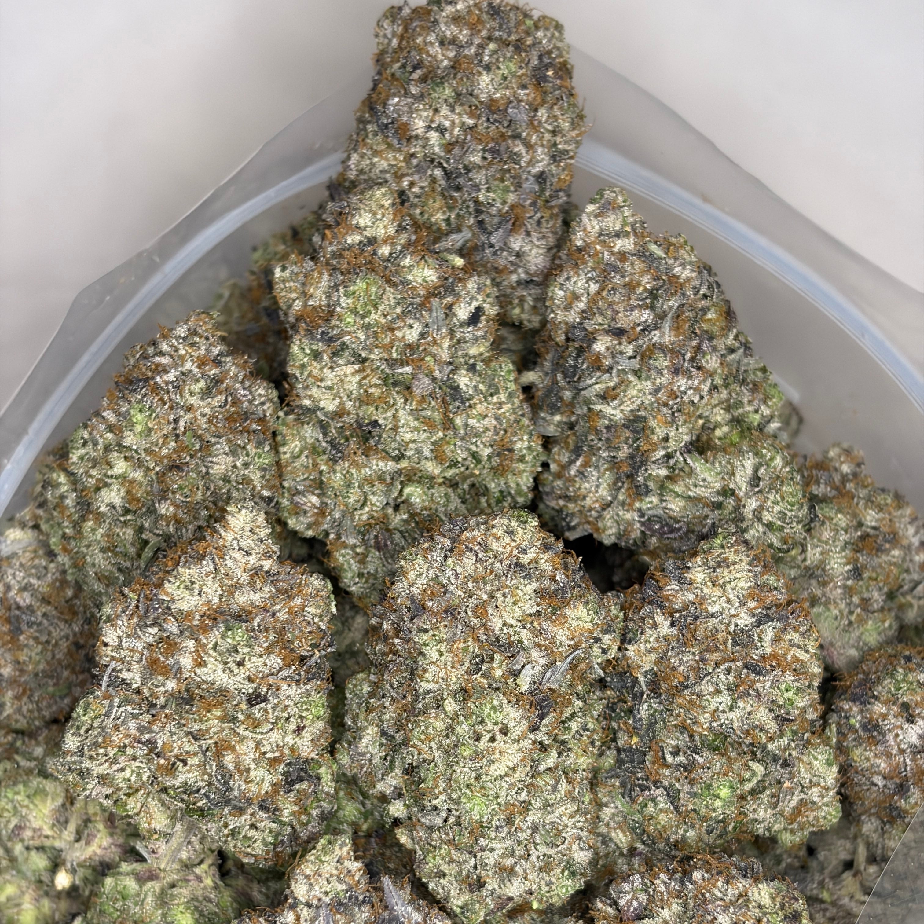 Argentina Champion Pink premium cannabis flower close-up with heavy trichomes and sticky resin