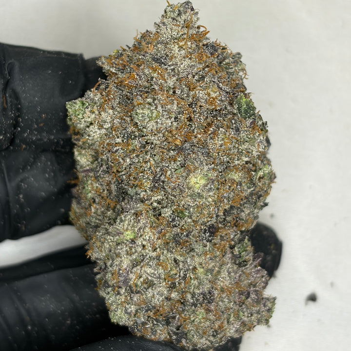 AstroPink AAAAA Hybrid heavy purple gas flower 39 percent THC weed delivery Toronto
