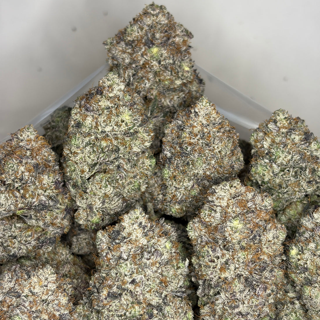 AstroPink AAAAA premium purple gas buds same day weed delivery Toronto