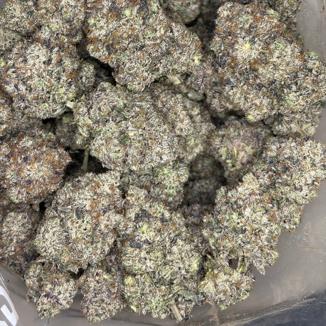 AstroPink AAAAA hybrid cannabis flower frosty trichome covered buds Toronto GTA