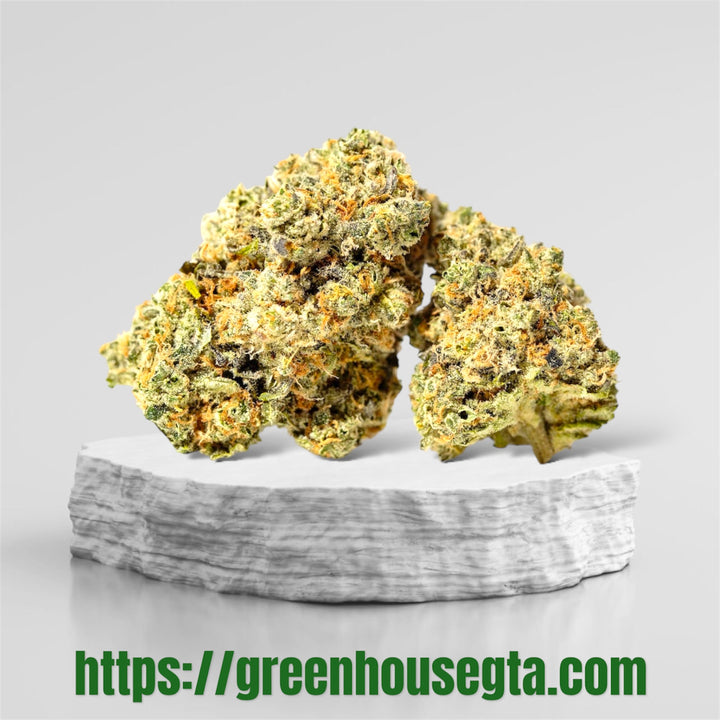 Astro Cookies sativa dominant hybrid weed strain – buy AAA weed online Markham – GreenHouseGTA
