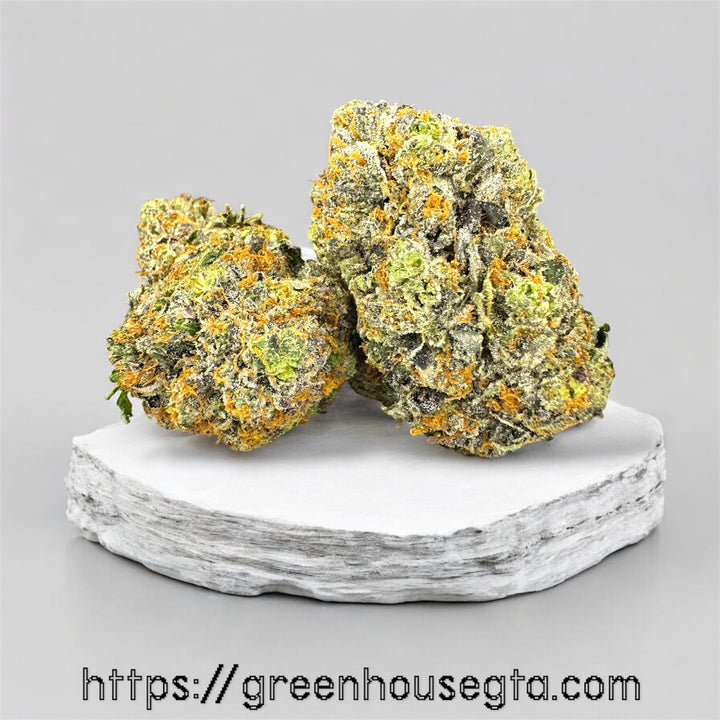 Astroboy AAAA+ $200 per ounce – premium sativa weed delivery Toronto & North York