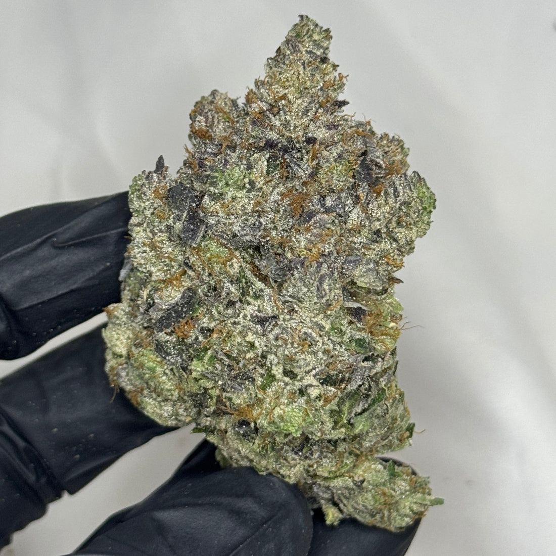 Barcellos Pink AAAAA Indica – 41% THC large dense bud with purple frost and trichomes – weed delivery Toronto GTA
