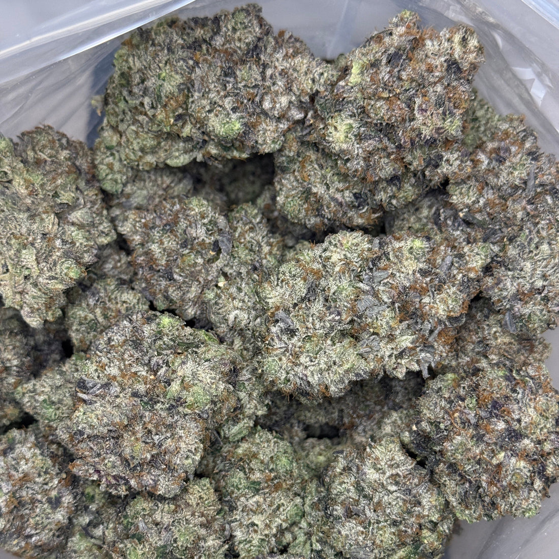Barcellos Pink AAAAA Indica flower – full batch of dense purple buds in container, 41% THC – weed delivery Toronto GTA