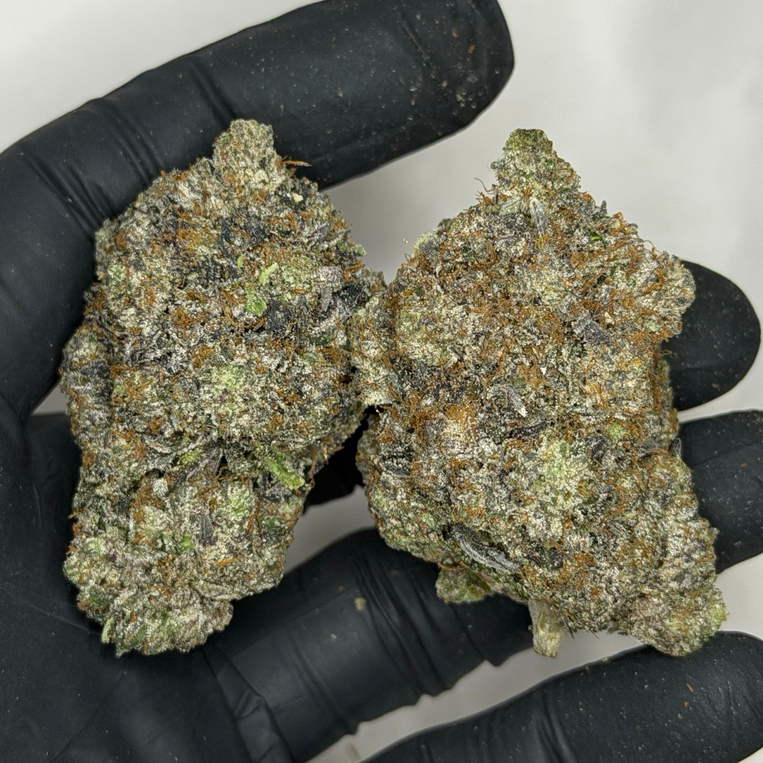 Black Alien Pink 👽 ALL PRODUCTS FLOWERS INDICA