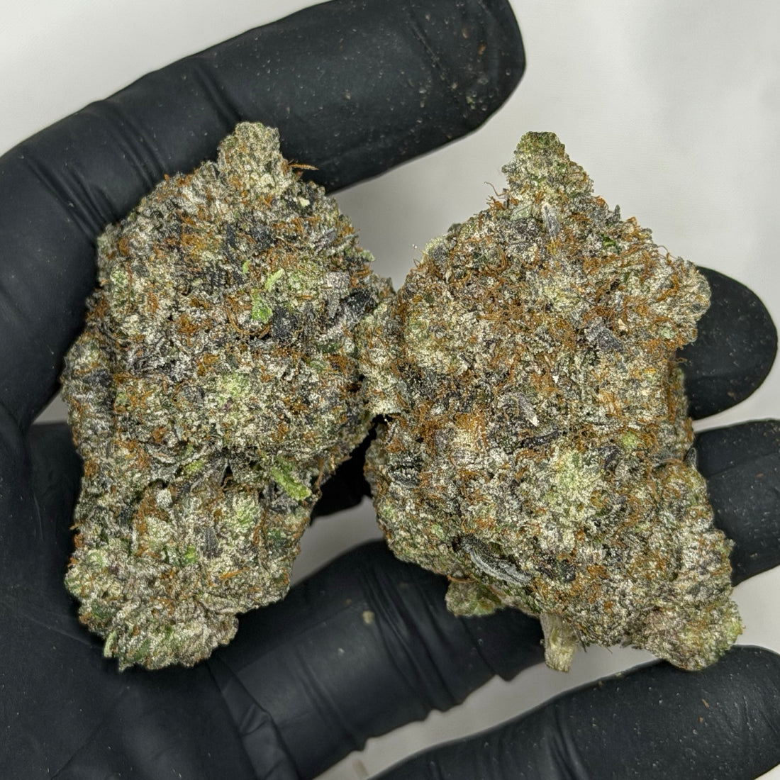 Black Alien Pink 👽 ALL PRODUCTS FLOWERS INDICA