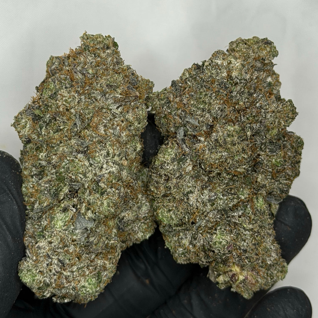 Black Alien Pink 👽 ALL PRODUCTS FLOWERS INDICA