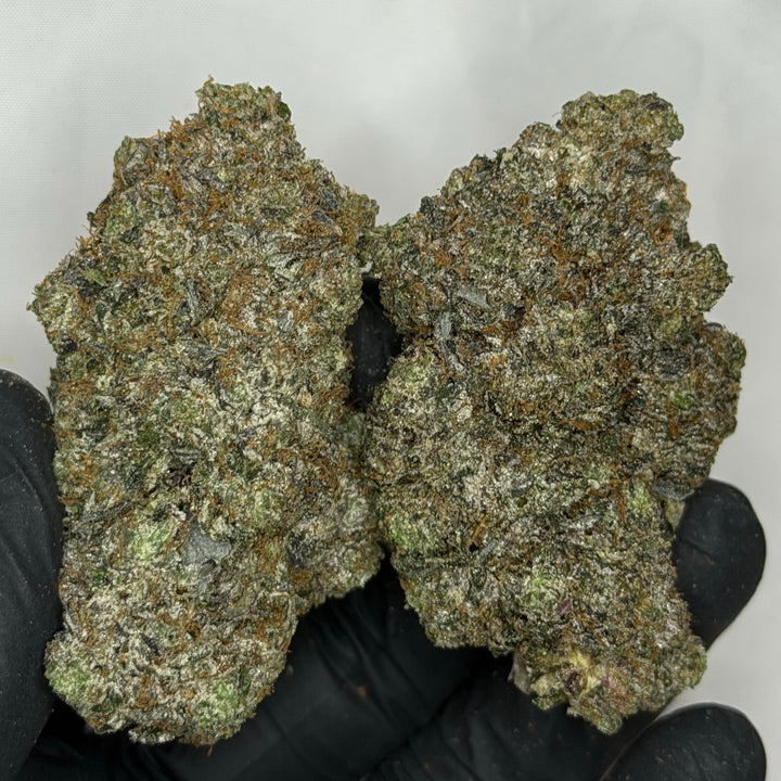 Black Alien Pink 👽 ALL PRODUCTS FLOWERS INDICA