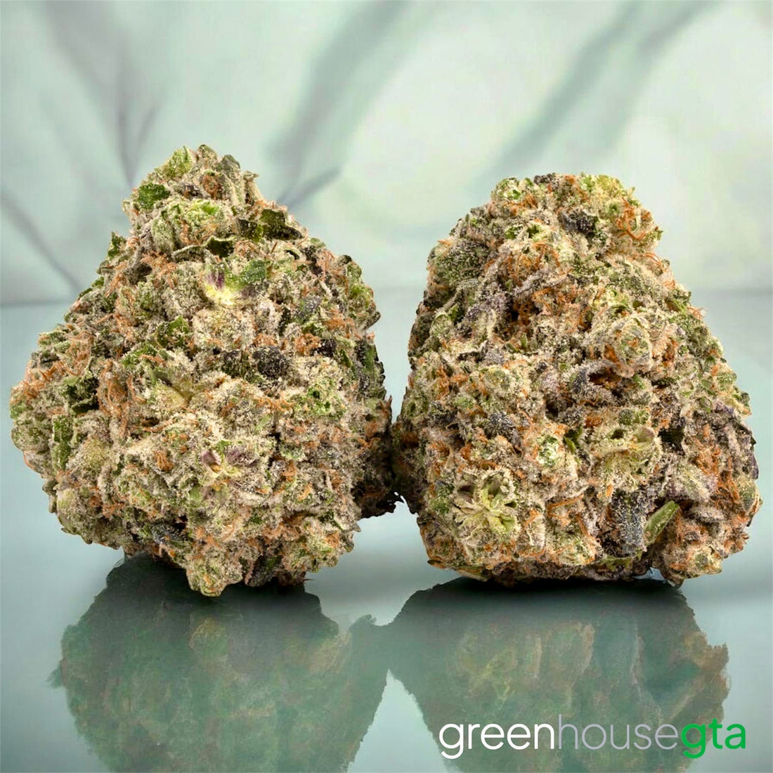 Black Cherry Soda AAA Sativa 27% THC – weed delivery Toronto
