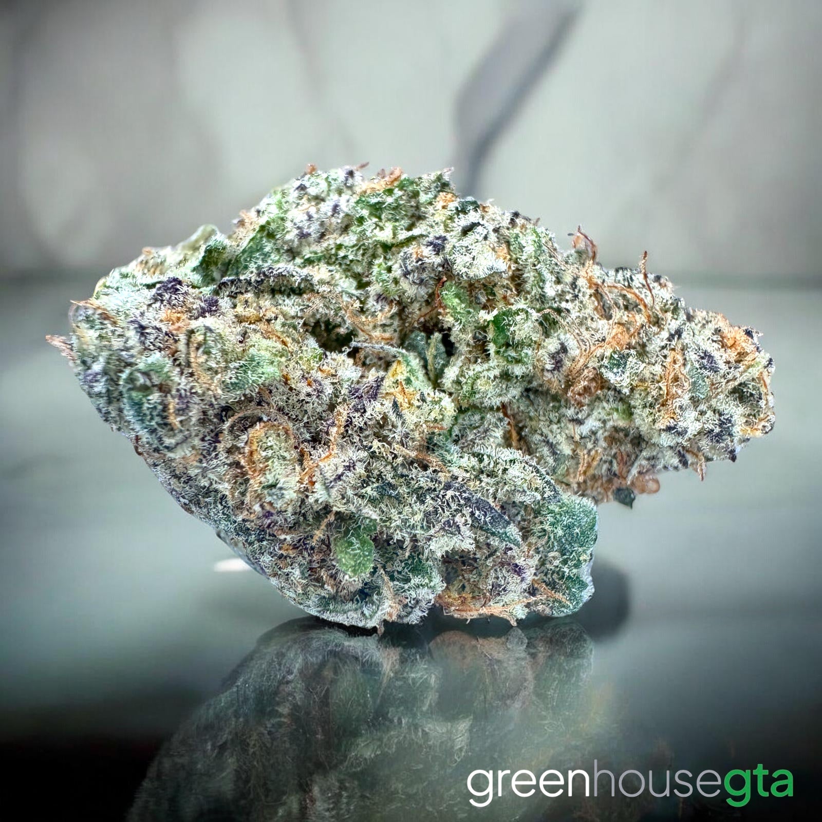 Black Caviar Kush AA+ cannabis buds close up - premium cannabis delivery Toronto GTA