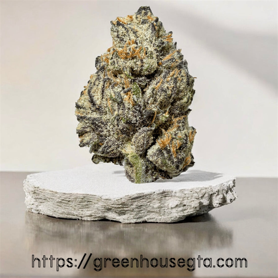 Black Truffle AAAA Indica 32% THC – sweet strawberry gas with pink frosty buds | GreenHouseGTA weed delivery Toronto