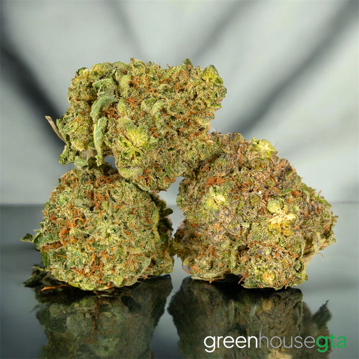 Blueberry Fuego AAA Indica buds – sweet blueberry flavour weed delivery Toronto