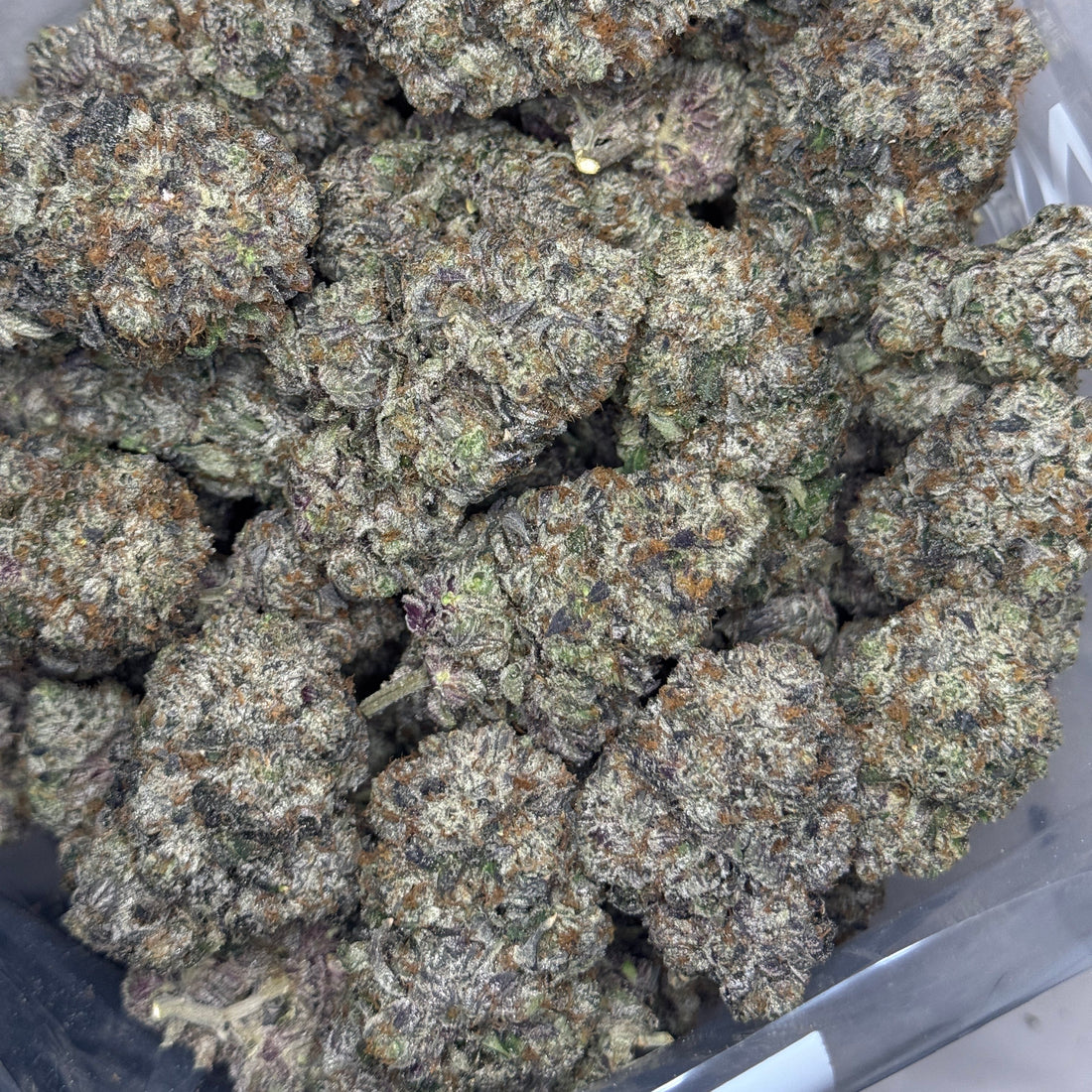 Blunt Force Trauma AAAAA Hybrid tight cured buds with spicy earthy gas profile – Toronto weed delivery