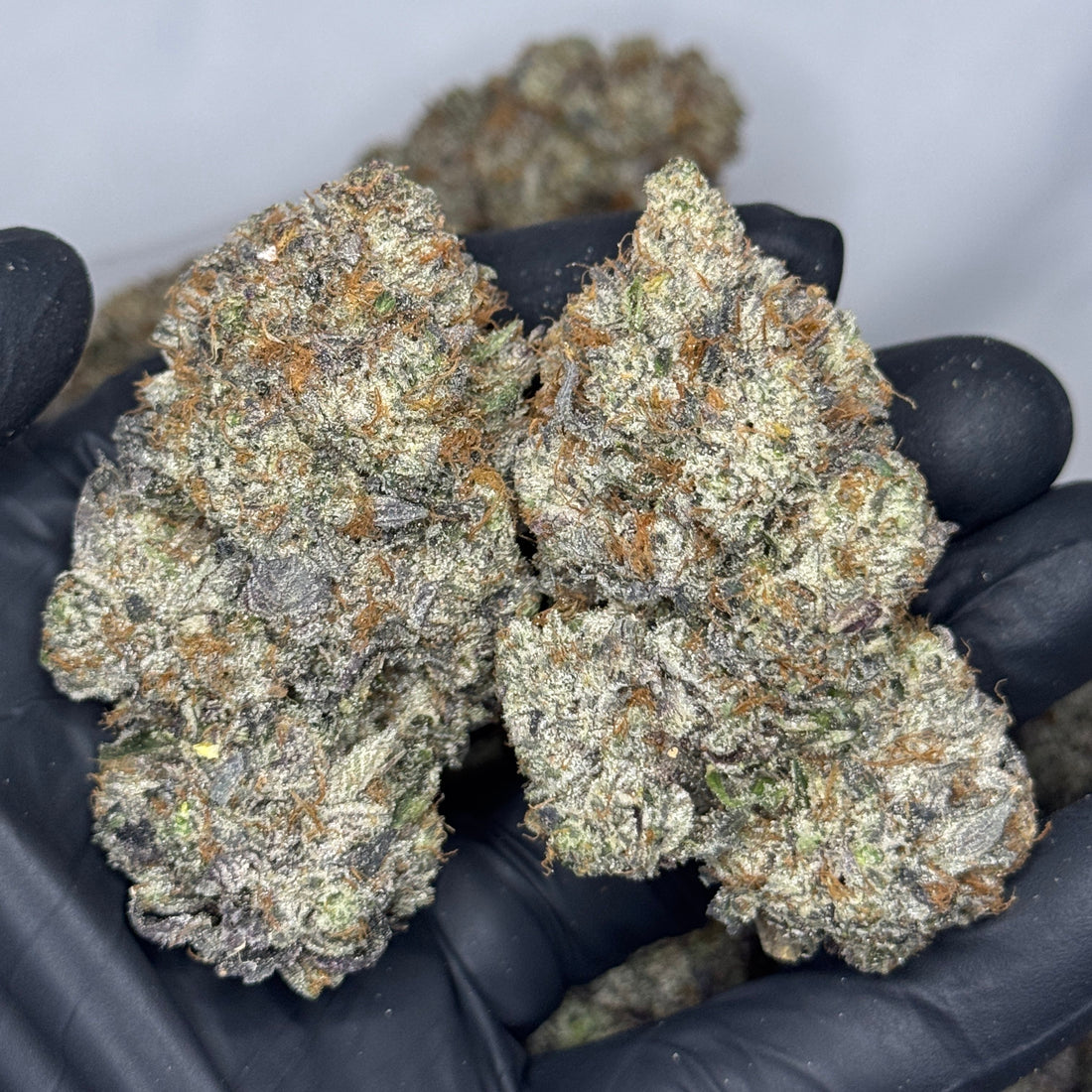 Blunt Force Trauma AAAAA Hybrid dense frosty gas-heavy cannabis buds – same-day weed delivery Toronto