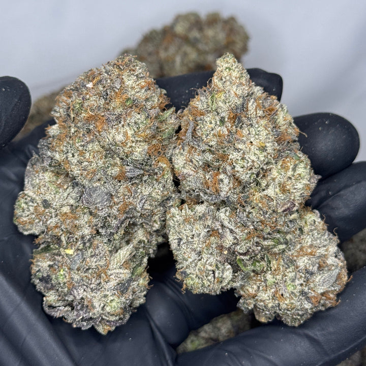 Blunt Force Trauma AAAAA Hybrid dense frosty gas-heavy cannabis buds – same-day weed delivery Toronto
