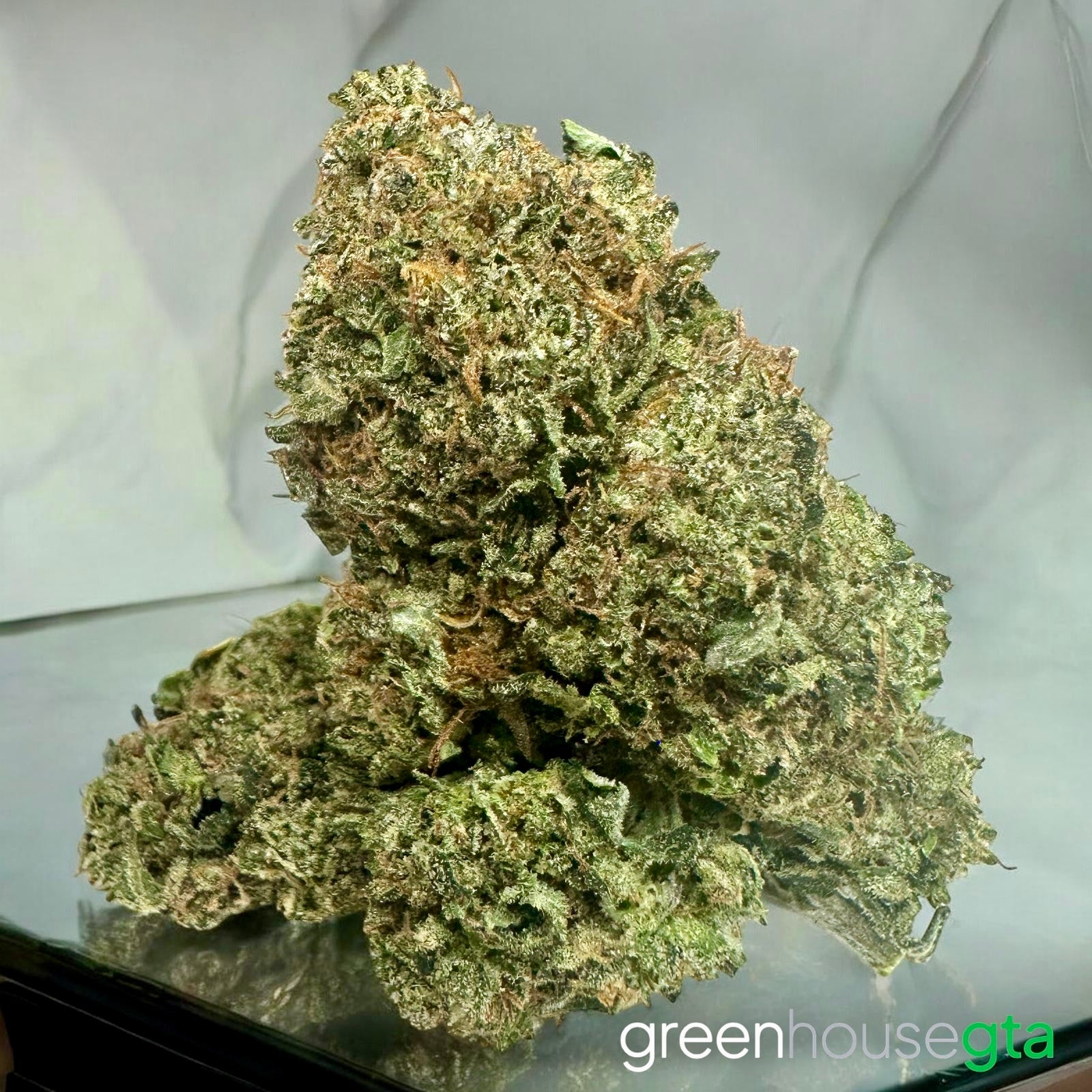 Blurricane Pink AAAA cannabis frosty nug citrus diesel gas strain – buy weed online Toronto