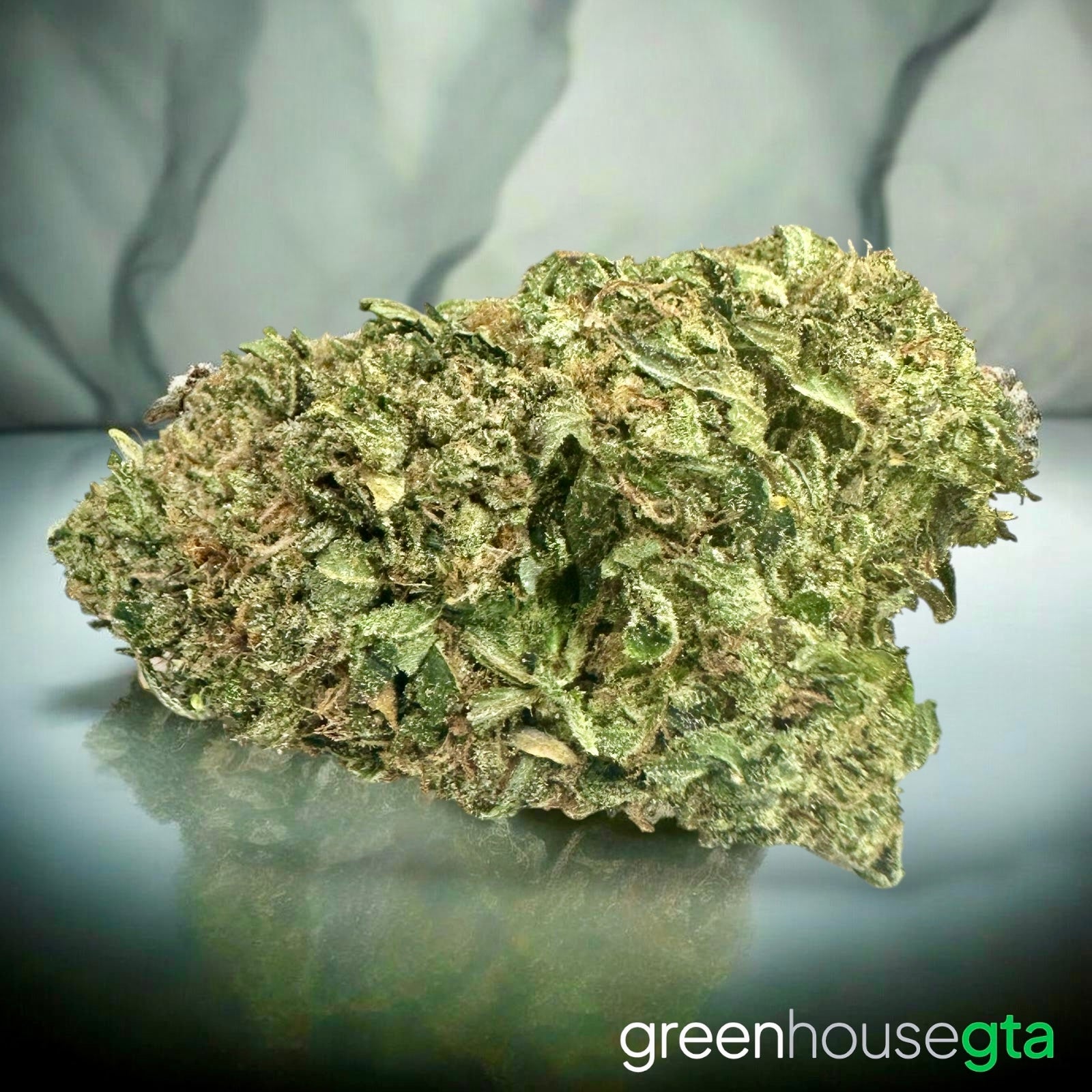 Blurricane Pink AAAA Indica dense BC gas bud 32% THC premium cannabis – weed delivery Toronto