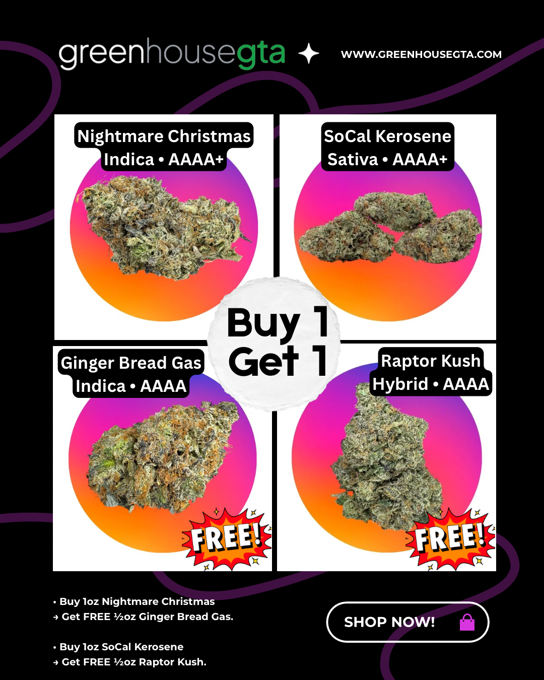 Flash Sale Buy 1 Get 1 FREE weed deal in Toronto featuring AAAA+ strains with same-day greenhousegta weed delivery
