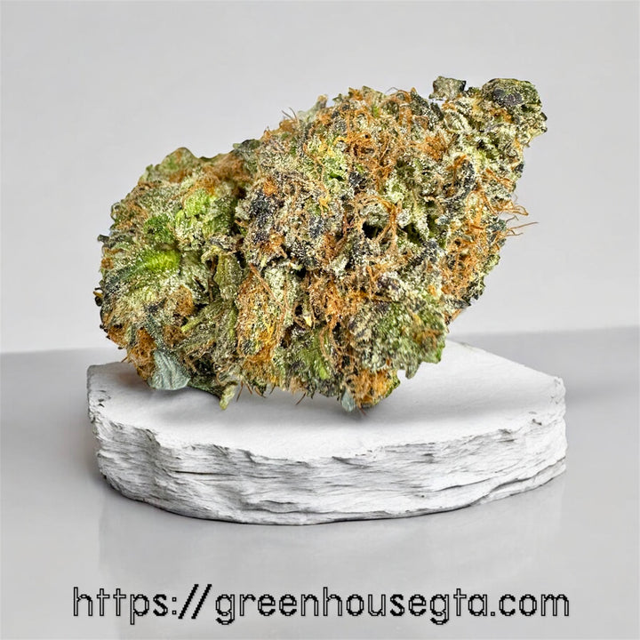 Candy Kush BC AAAA Sativa flower 32% THC – premium weed delivery Toronto