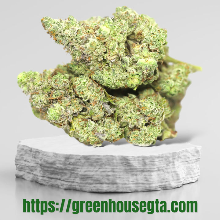 Candyland AAAA Sativa 32% THC – Sweet Berry Herbal Gas Buds $180/oz Weed Delivery North York