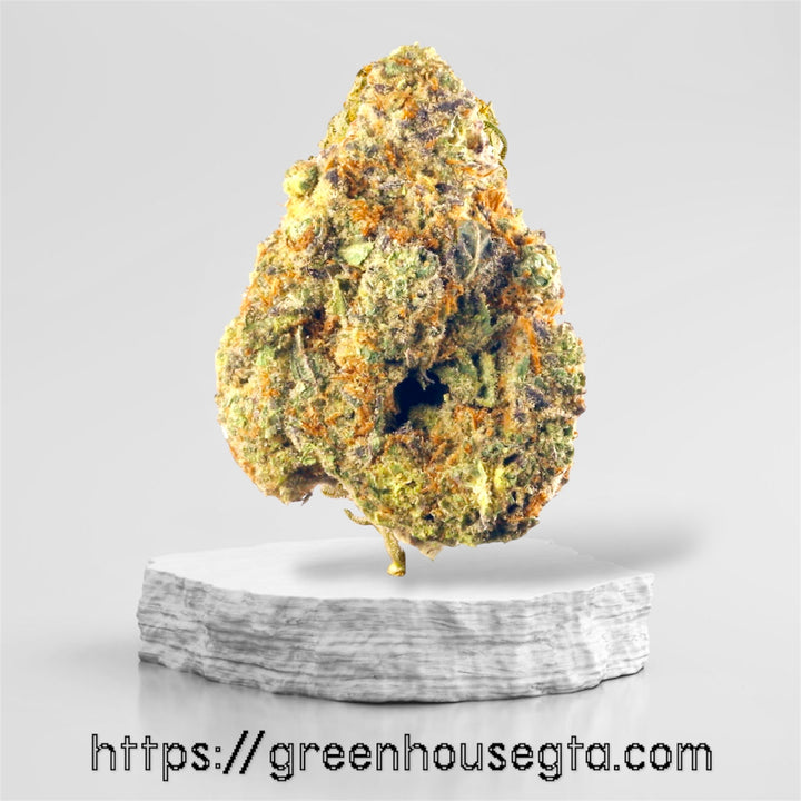 Captain Chronic cannabis bud – AA+ Sativa strain, 27% THC, sweet lemon diesel earthy flavour – budget weed $100/oz Toronto delivery