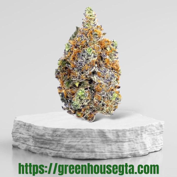 Carnival Mintz hybrid weed strain – same-day weed delivery Toronto – GreenHouseGTA
