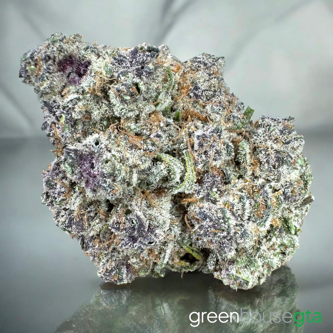 Chapos White Dust AAAA Indica flower 31% THC – cherry blossom aroma weed delivery Toronto