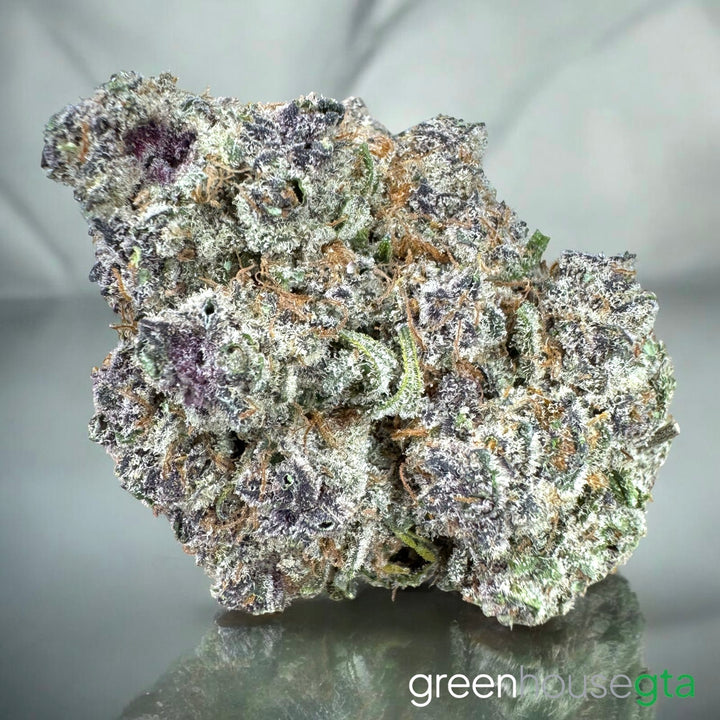 Chapos White Dust AAAA Indica flower 31% THC – cherry blossom aroma weed delivery Toronto