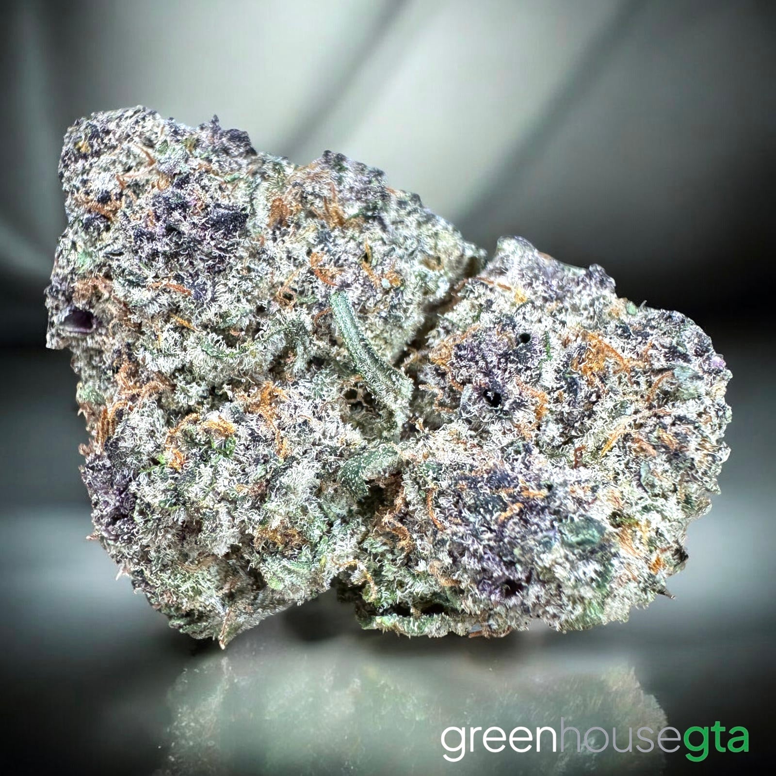 Chapos White Dust AAAA Indica close-up buds – frosty trichomes cherry blossom cannabis Toronto