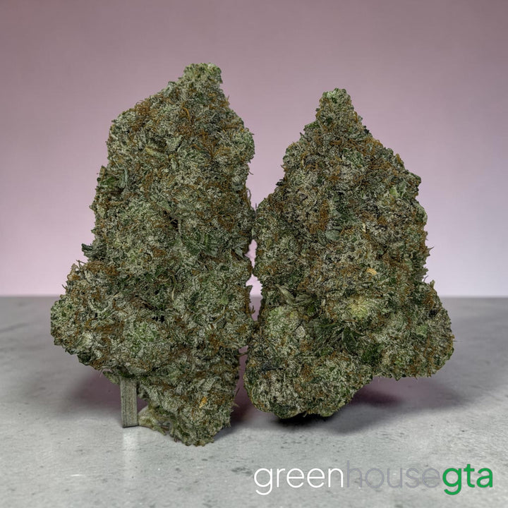 Cherry Mac Moonshine AAAA premium sativa sweet cherry gas flower 35 percent THC weed delivery Toronto